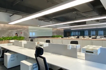 Company environment
