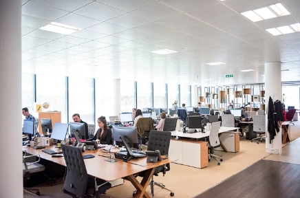 Company environment